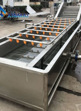 商用不锈钢果蔬清洗机圣女果樱桃桑葚气泡清洗机高压喷淋清洗机