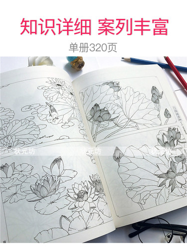 经典全集 白描画谱5000例上篇花卉蔬果正版工笔画入门教程成人白描工笔底稿花鸟鱼虫侍女工笔画手绘线描画牡丹水仙树叶白描画集 - 图1