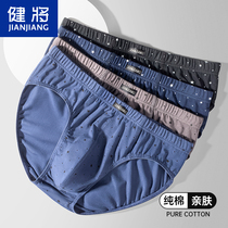 Bodybuilding Mens Triangle Underpants Boys pants Pants Pure Cotton Pants Head Mens Bottom Pants Big Code Breathable Male full cotton shorts