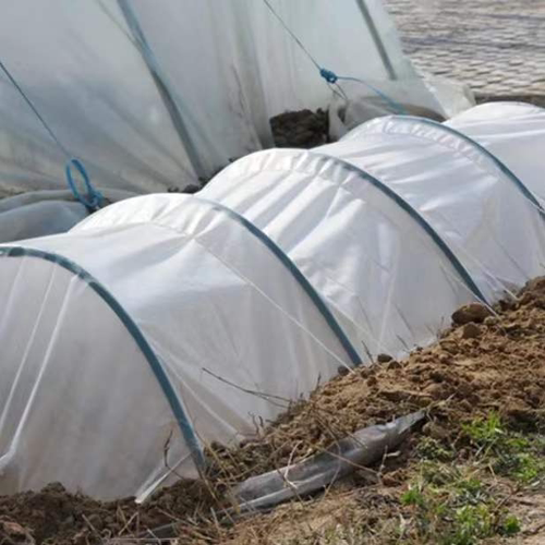 农用小拱棚保湿白色地膜白色蔬菜小棚塑料膜菜地透明保温大棚薄膜 - 图1