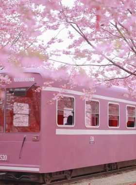 有轨电车模型网红打卡装饰品