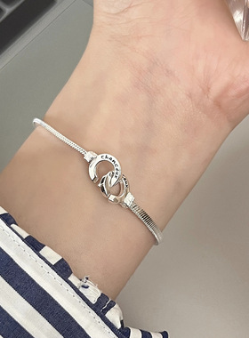 925纯银蛇骨链环环相扣项链锁骨链手链女小众气质ins高级感极简风