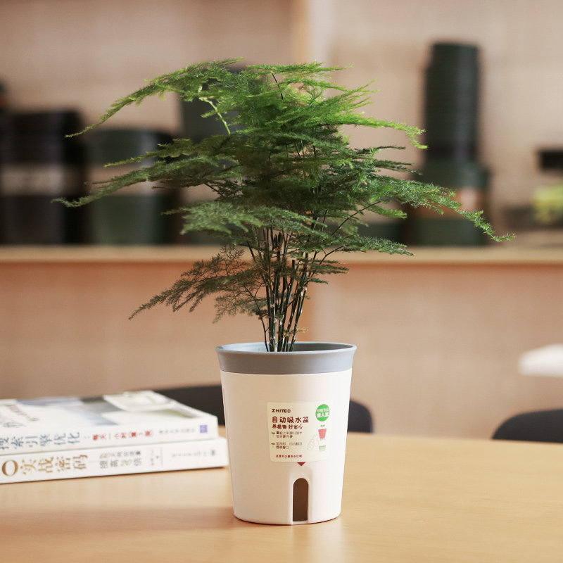 懒人双层自动吸水花盆室内桌面水培植物花卉控水储水花盆塑料小号,淘宝优惠券,粉丝福利购,淘宝优惠卷