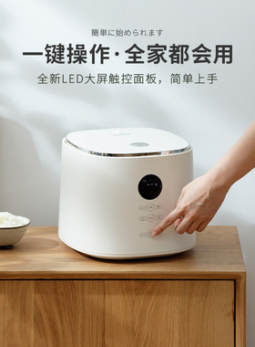 电饭煲3L家用小型多功能电饭锅