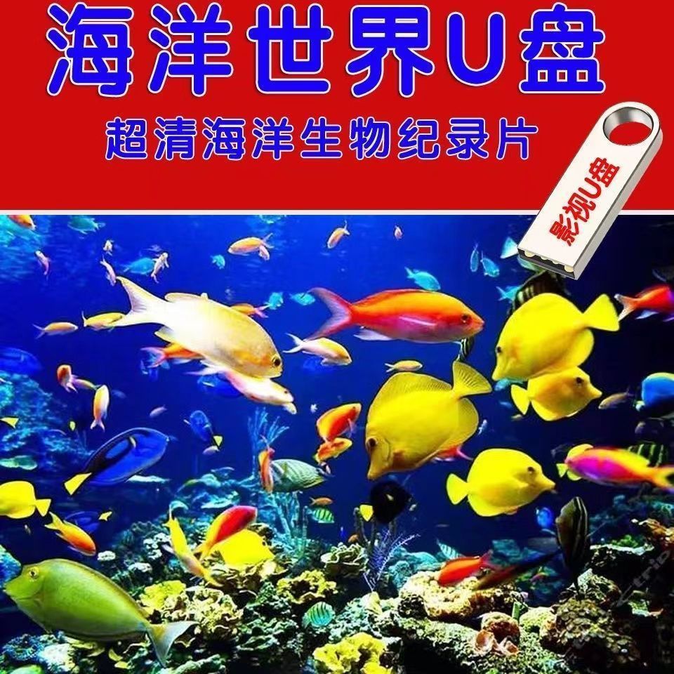 海底世界记录片U盘动物海洋生物儿童百科知识科普超高清1280P优盘 - 图2