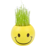 Премия Дня детей -Участник обучения в детском саду