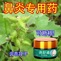 Special ointment for rhinitis special effect Miao domestic goose does not eat grass allergic nasal congestion turbinate hypertrophy sinusitis traditional Chinese medicine