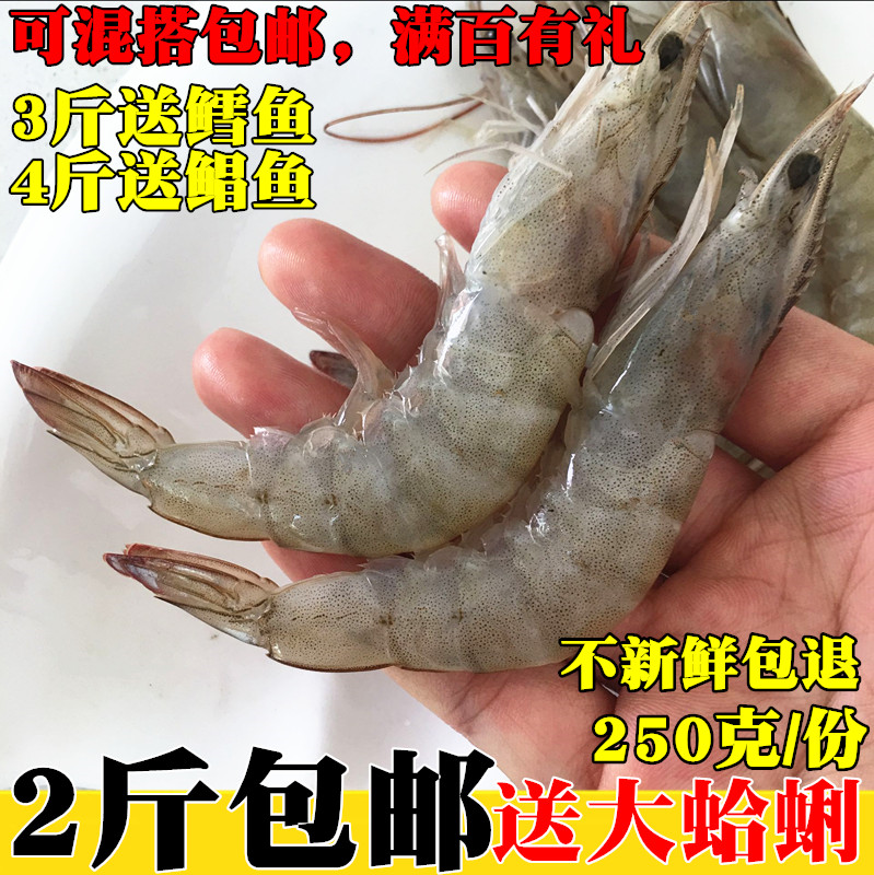 新鲜对虾鲜活基围野生海虾海捕大虾活虾青虾明虾大海虾海鲜水产品,淘宝优惠券,粉丝福利购,淘宝优惠卷