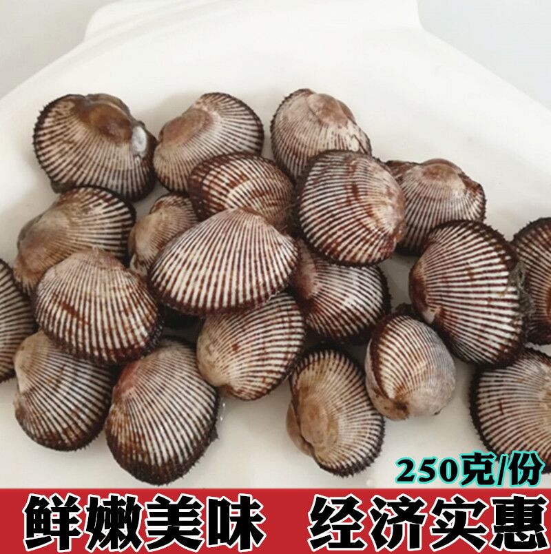 Seafood, aquatic products, fresh hairy clams, fresh blood clams and shellfish