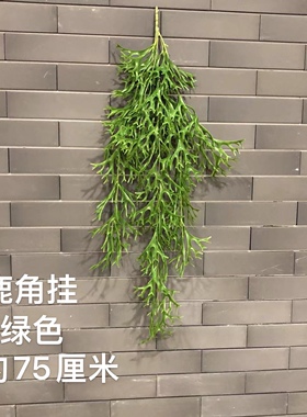 仿真绿植壁挂波斯草蕨类
