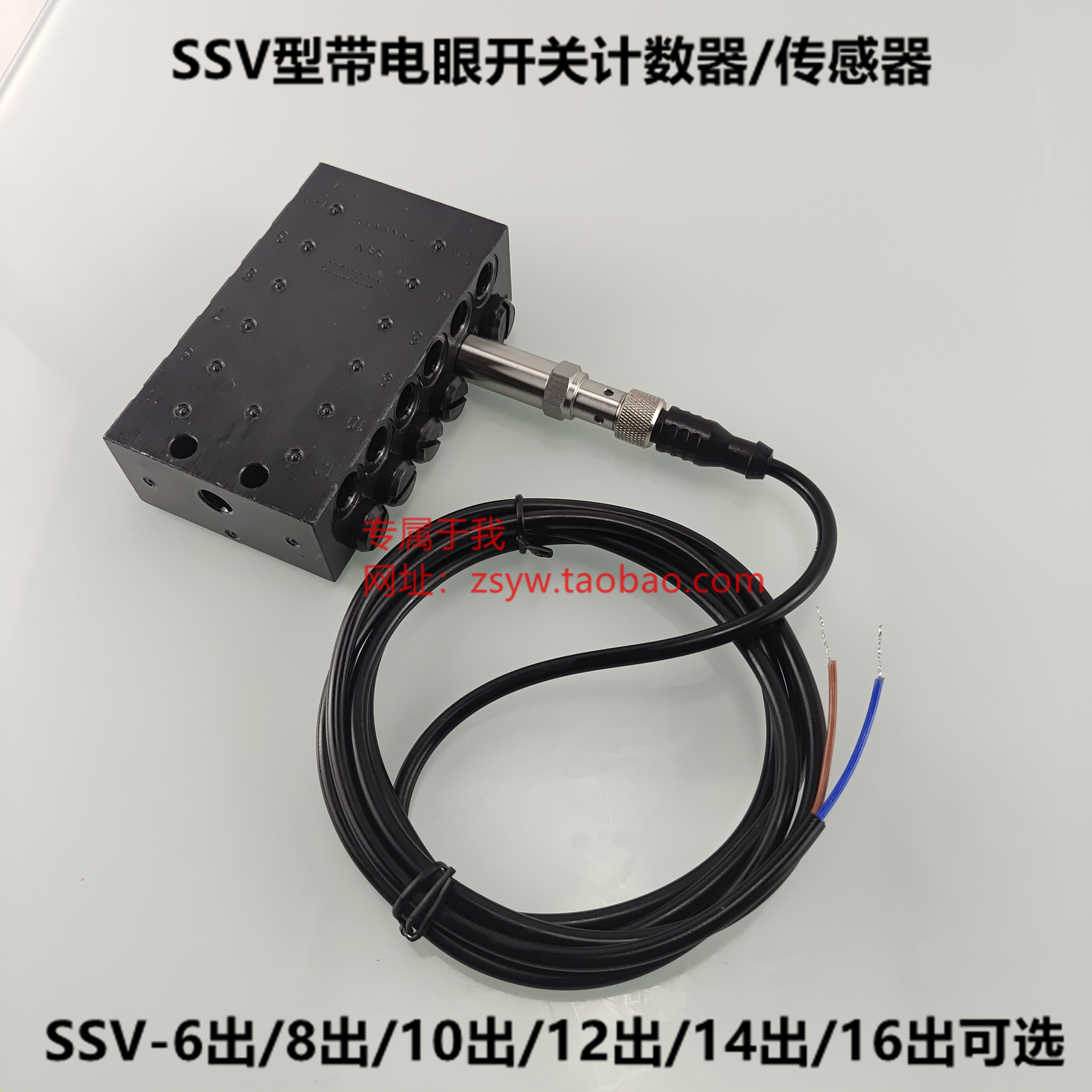 盾构机配件 林肯油脂分配器一分12路SSV12-N盾构分配器带计数器 - 图0