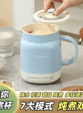 小型炖煮杯迷你小煮杯多功能养生