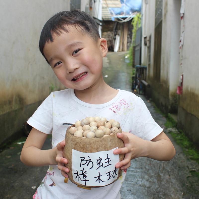 天然樟脑丸纯香樟木条球块衣柜防潮防霉防虫芳香去味家用驱虫蟑螂 - 图3