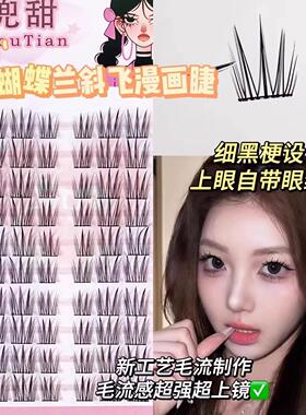 正品蝴蝶兰轻斜飞睫分段式飞扬狐系狐狸眼自然卷翘浓密放大双眼