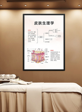 皮肤结构解析广告挂画 美容院皮肤抗衰管理装饰画中医养生馆墙画