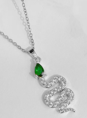 于家明同款简约时尚镀金镶钻锆石蛇形套装创意蛇形耳环蛇形项链