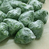 Шелковой червр детские тулотные листья питают шелкорный червя свежо -тумолочные листья, которые поднимают костюмы шелковика, свежее маленькое шелколочное шелковое измельчение сельскохозяйственное основание, забирая яйца шелковика