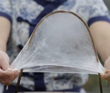 Коконы из шелкового червя включают в себя шелковые бамбуковые луки, шелк, шелк, поддержка шелкового состава, коконовый шелк, бамбуковая поддержка, вареные вентиляторы, вентиляторы, вентиляторы