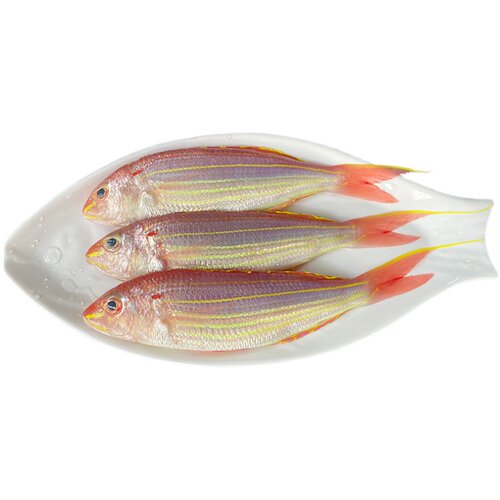 红杉鱼海鱼新鲜冷冻食用潮汕海鲜水产深海钓红三鱼金丝鱼金线鱼 - 图3