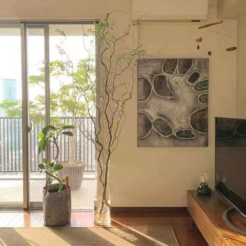 德国进口金龙柳鲜枝易生根长叶客厅摆放ins懒人水培绿植雪柳龙柳 - 图3