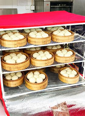 发酵箱 恒温箱 家用商用 发面 酸奶 纳豆 米酒 手工皂  醒发加湿