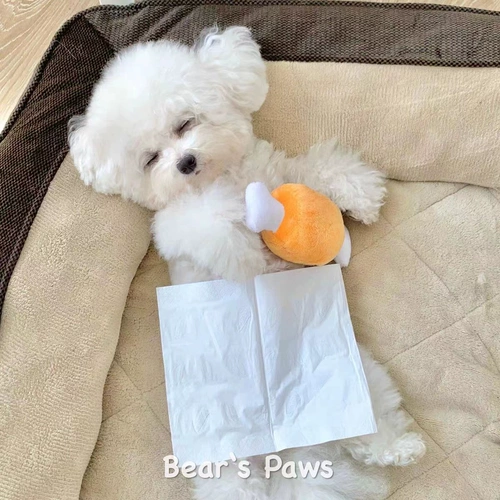 Собачья голосовало игрушечные плюшевые куриные ноги измельчают зубы и кусая от Hi Teddy Bear Bear Corki маленькие щенки для домашних животных