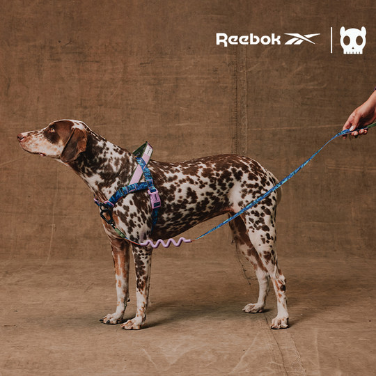 ZeeDog&Reebok Hundeleine mit Stoßdämpfung
