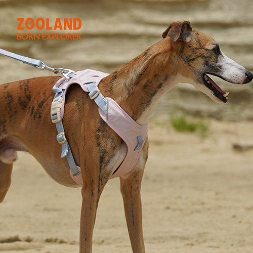 QZee狗狗胸背牵引绳ZOOLAND工字型不勒脖遛狗小中大型犬金毛柯基 - 图0