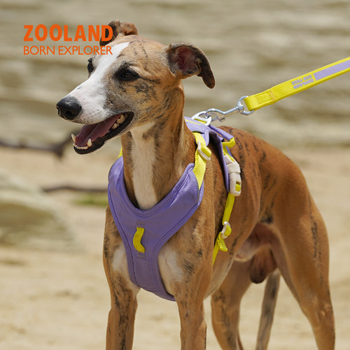 QZee狗狗胸背牵引绳ZOOLAND工字型不勒脖遛狗小中大型犬金毛柯基 - 图1
