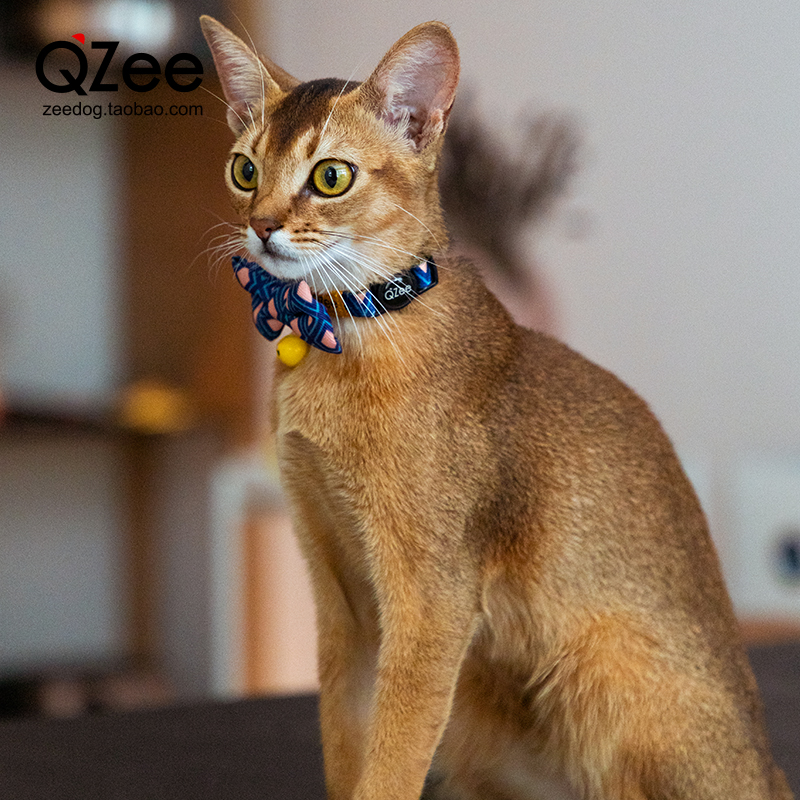 QZee猫咪项圈防窒息安全扣防勒可调节英美短脖圈溜猫胸背宠物颈圈_QZee宠物严选_宠物/宠物食品及用品