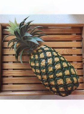橱窗装饰仿真桌面展示壳拍摄摄影