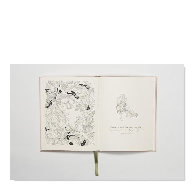 【预 售】鲜花之年:一本填色书 The Flower Year:A Colouring Book 精装图画本 Leila Duly花卉涂色书成人治愈解压书籍原版图书