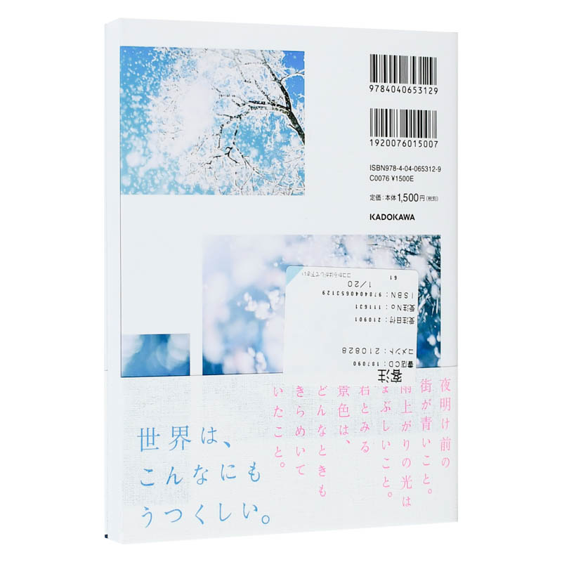 【预 售】再见是蓝色的 小清新 日系摄影集 さよならは青色 岩仓しおり 第*本写真集 日文原版书籍进口