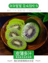 Shaanxi Week to Xu Xiangkiwi Goodies Fresh Fruits When Season Full Box 10 Cati Kiwi Kiwi Fruit Macaque Peach Brow County