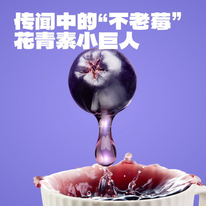 老金磨方桑葚五黑茶黑枸杞冷泡枸杞玫瑰滋补养生茶包花茶泡水饮品