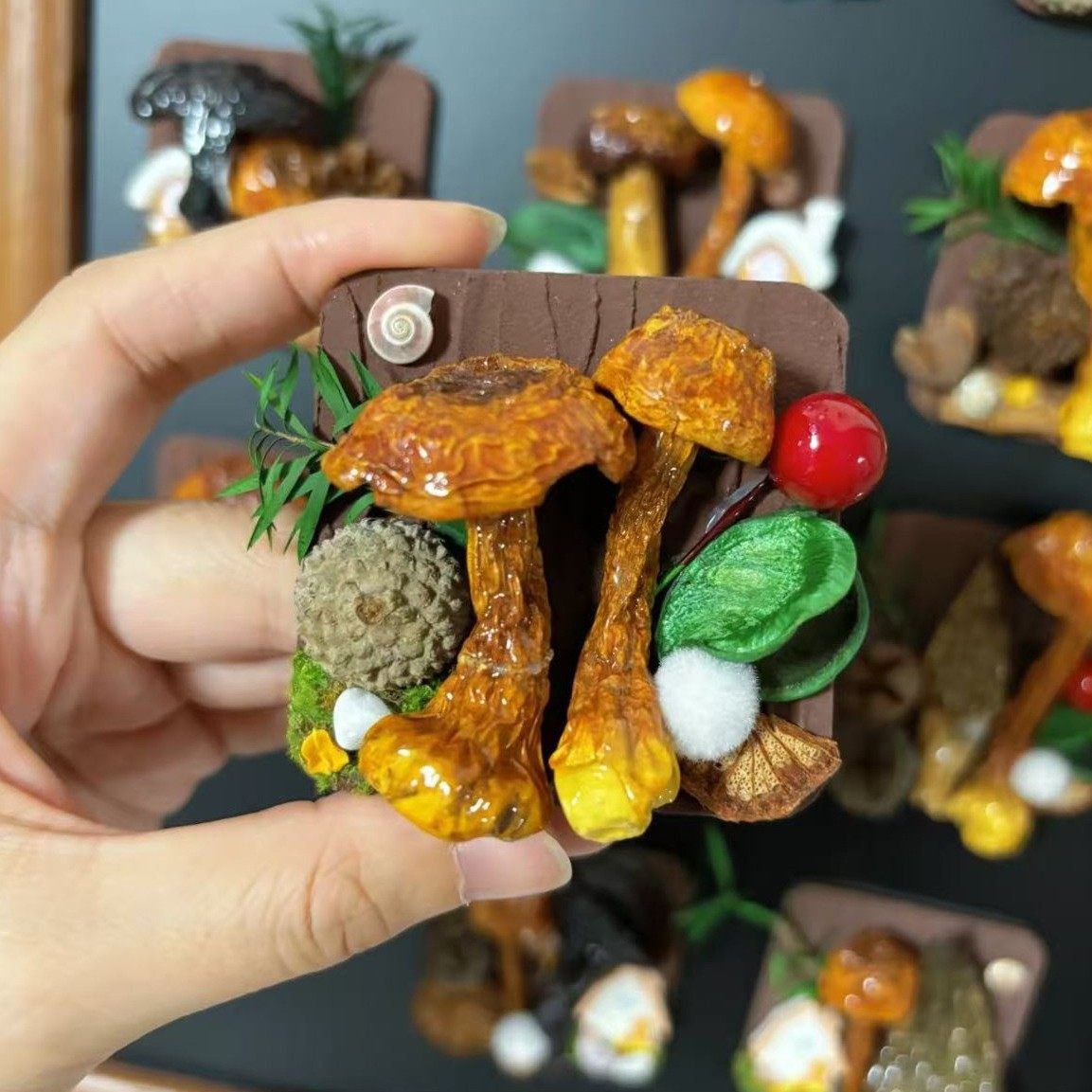 云南蘑菇菌真植物diy森系冰箱帖标本伴手礼家居墙面装饰品,淘宝优惠券,粉丝福利购,淘宝优惠卷