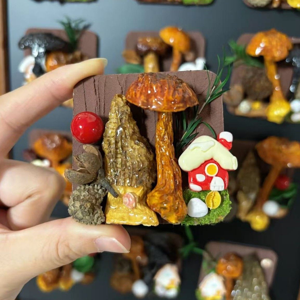 云南蘑菇菌真植物diy森系冰箱帖标本伴手礼家居墙面装饰品,淘宝优惠券,粉丝福利购,淘宝优惠卷