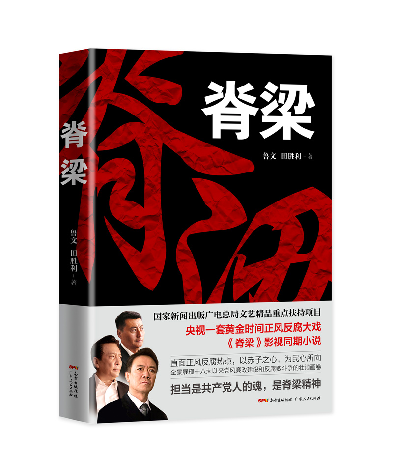 【反腐纪实2册】丁捷初心+脊梁鲁文田胜利反腐纪实文学追问续作现实主义官场小说反腐小说纪检监察CB-图2