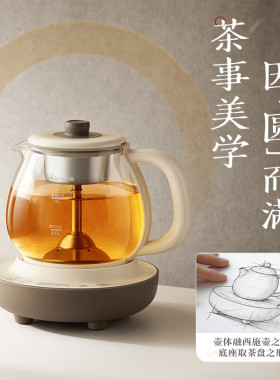 小熊喷淋煮茶器煮茶壶分体好清洁