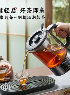 【3万+热销】小熊高端喷淋煮茶器