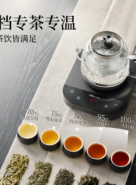 【1万+热销】小熊自动上水烧水壶