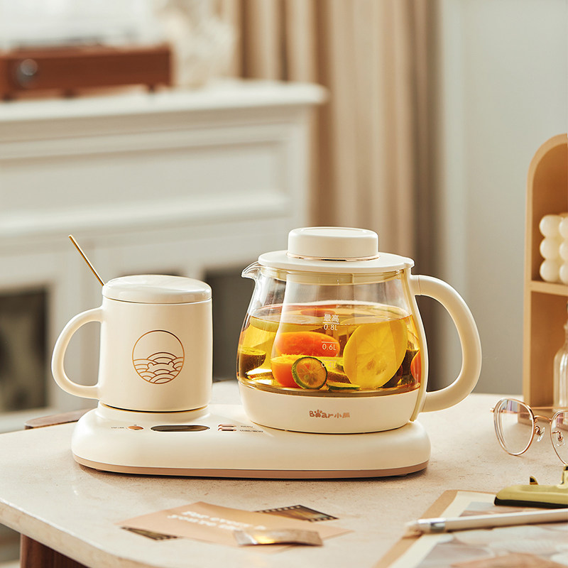  小熊电器养生壶/煎药壶