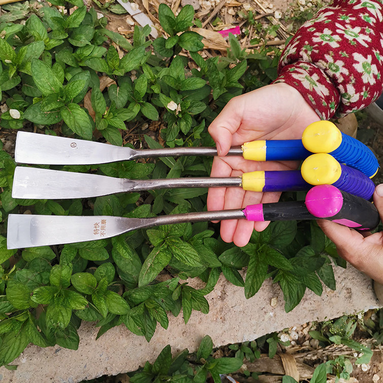 园艺小铲子栽苗挖蒜铲农用挖野菜拔草工具挖药材蚯蚓种花种菜包邮,淘宝优惠券,粉丝福利购,淘宝优惠卷