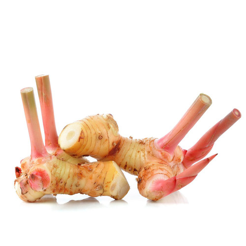 新鲜白皮南姜泰式冬阴功食材调味调料香料菜高良姜生姜香料250g - 图3