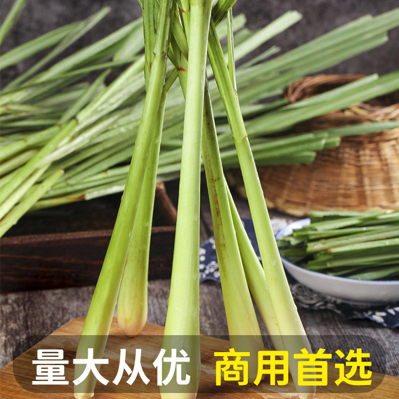 香茅草新鲜柠檬草叶食用香茅香料菜奶茶店用品调料泰国冬阴功原料 - 图0