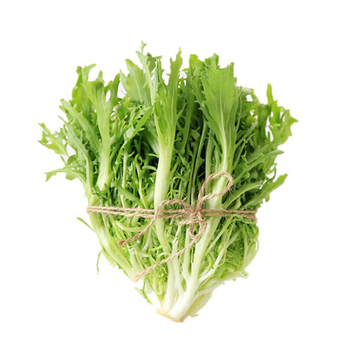 新鲜苦菊生菜500g苦苣细叶蔬菜沙拉轻食西餐生吃配菜食材狗牙菜 - 图3