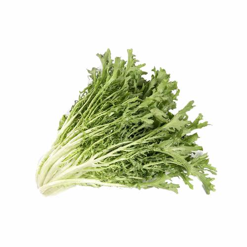 新鲜苦菊生菜500g苦苣细叶蔬菜沙拉轻食西餐生吃配菜食材狗牙菜 - 图0