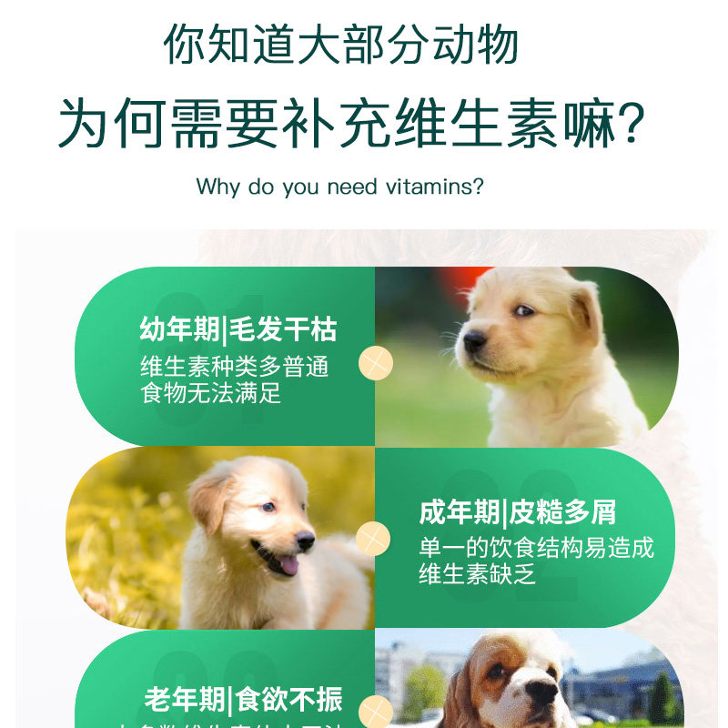 腊肠犬专用复合维生素片微量元素成幼犬维生素B幼犬营养品保健,淘宝优惠券,粉丝福利购,淘宝优惠卷