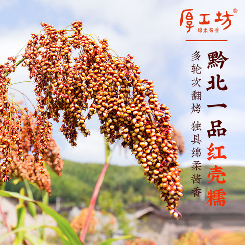 【两坛更优惠】厚工坊五年窖藏风 贵州53度酱香白酒 送礼坛装2.5L - 图2
