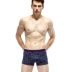 Đồ lót nam 4 hộp quần lót nam boxer quần short quần short nam kích thước lớn - Giống cái